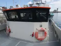 Catamarã à venda