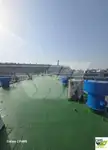 Balsa de desembarque, tanque à venda