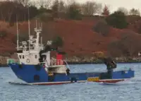 Barcos de trabalho à venda