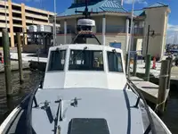 Barcos de trabalho à venda