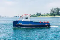 Barcos de trabalho à venda