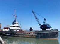 Draga à venda