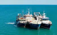 Navio de abastecimento à venda