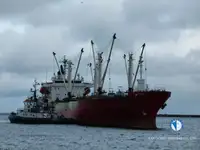 Navio frigorífico à venda