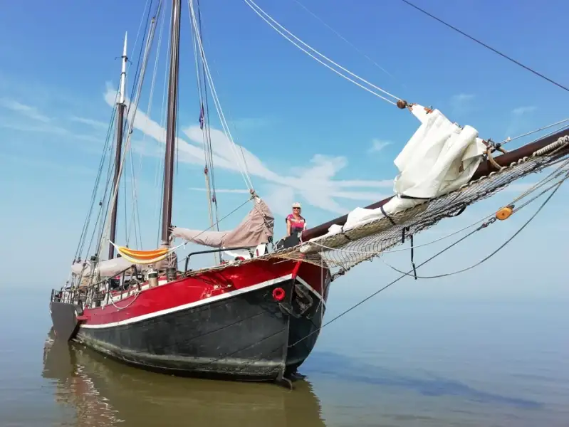 Navio graneleiro à venda