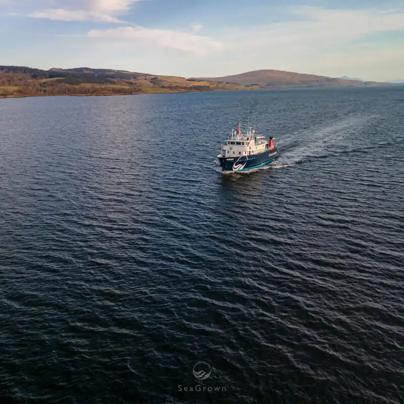 Navio de pesquisa à venda