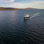 Navio de pesquisa à venda