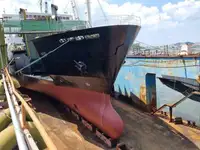 Ro-Ro ship à venda