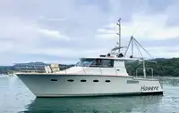 Navio de pesquisa à venda