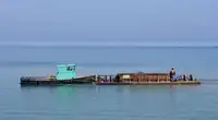 Barcos de trabalho à venda