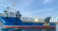 Barcos de trabalho à venda