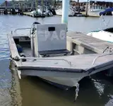 Barcos de trabalho à venda