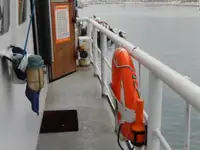 Barcos de trabalho à venda