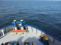 Navio frigorífico à venda