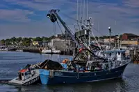 Navio de pesca de cerco à venda