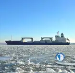 Navio frigorífico à venda
