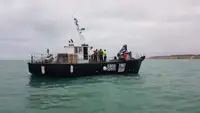 Barcos de trabalho à venda