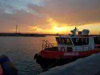 Barcos de trabalho à venda