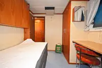 Barcos de trabalho à venda