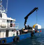 Barcos de trabalho à venda