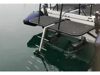 Bote inflável rígido à venda