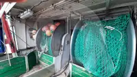 Navio transportador de peixes vivos à venda