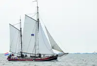 Navio graneleiro à venda