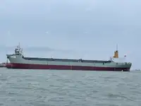 Navio porta-contentores à venda