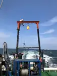 Barcos de trabalho à venda