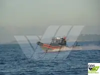 Barco inflável rígido à venda