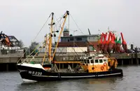 Trawler à venda
