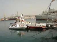 Barcos de trabalho à venda