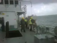 Barcos de trabalho à venda