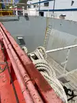 Barcos de trabalho à venda