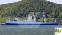 Ro-Ro ship à venda