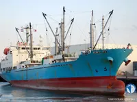 Navio frigorífico à venda