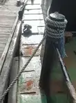 Barcos de trabalho à venda