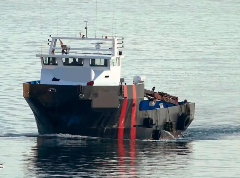 Barcos de trabalho à venda