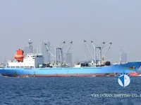 Navio frigorífico à venda