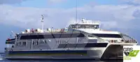 Navio Ro-Ro à venda