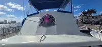Apoio a mergulho à venda
