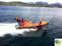 Bote inflável rígido à venda