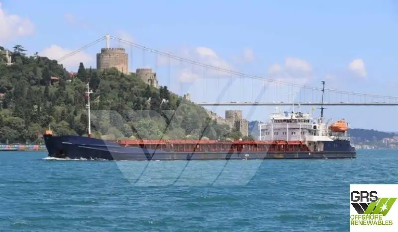 Navio graneleiro à venda