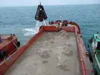 Barcaça à venda