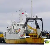 Fast Supply Vessel (FSV) à venda