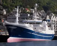 Purse seiner à venda