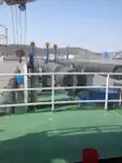 Dragador à venda