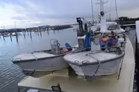 Cutter à venda