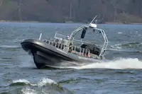 Bote inflável rígido à venda