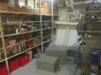 Navio frigorífico à venda